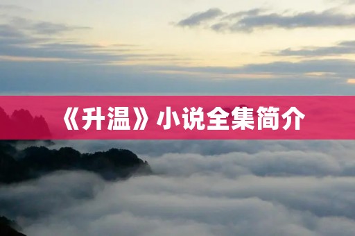 《升温》小说全集简介