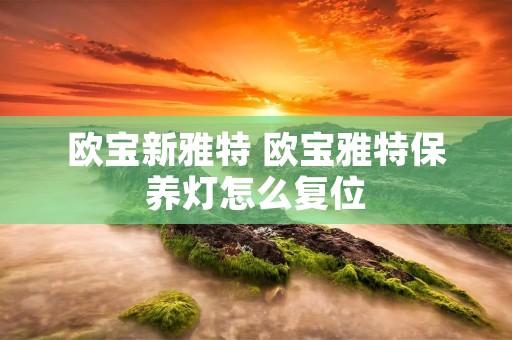欧宝新雅特 欧宝雅特保养灯怎么复位