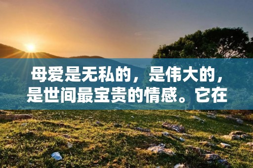 母爱是无私的，是伟大的，是世间最宝贵的情感。它在无声无息中，以无尽的柔情和关怀，温暖着孩子的心灵，塑造着他们的人格。下面是一些体现母爱的金句，让我们一起欣赏和感受这份伟大的爱。