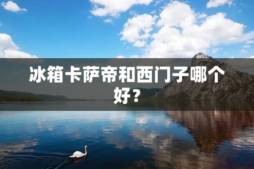 冰箱卡萨帝和西门子哪个好? 冰箱卡萨帝和西门子哪个好?