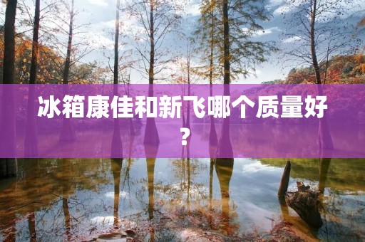 冰箱康佳和新飞哪个质量好？