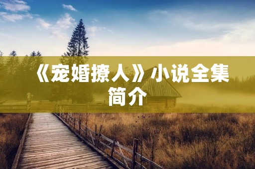 《宠婚撩人》小说全集简介 《宠婚撩人》小说全集简介