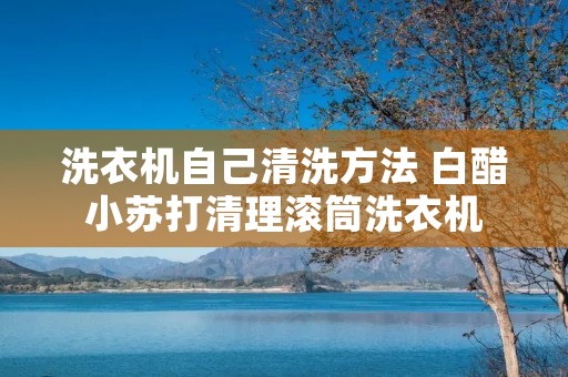 洗衣机自己清洗方法 白醋小苏打清理滚筒洗衣机 洗衣机自己清洗方法 白醋小苏打清理滚筒洗衣机