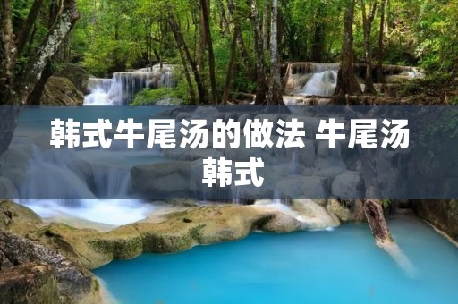 韩式牛尾汤的做法 牛尾汤 韩式
