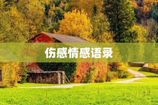 伤感情感语录:用文字抚慰心灵的伤痛
