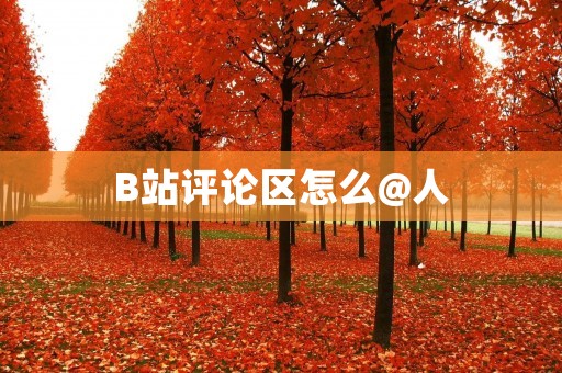B站评论区怎么@人:实用技巧及注意事项