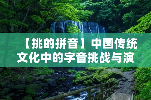 【挑的拼音】中国传统文化中的字音挑战与演变
