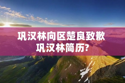 巩汉林向区楚良致歉 巩汉林简历? 巩汉林向区楚良致歉 巩汉林简历?