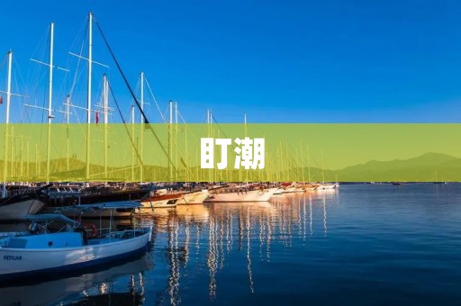 盯潮：探索潮流文化的新潮动态