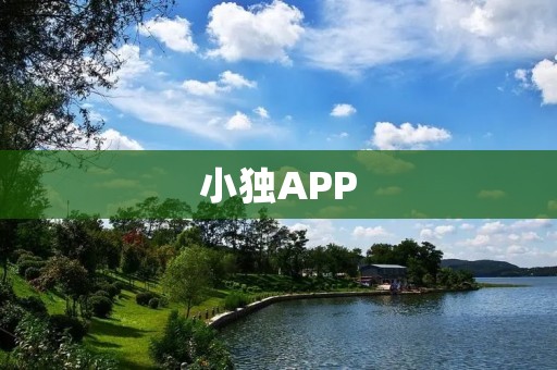 小独APP：打造你的个人成长助手