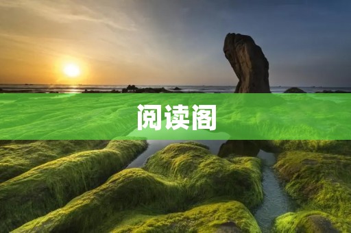 阅读阁：打开智慧与想象的大门
