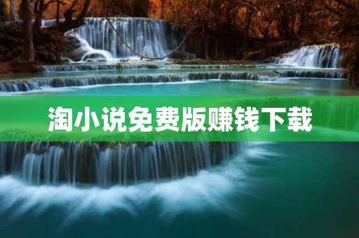 淘小说免费版赚钱下载：打开无限阅读的财富之门