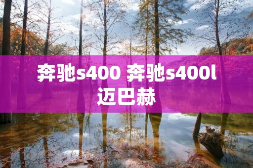 奔驰s400 奔驰s400l迈巴赫 奔驰s400 奔驰s400l迈巴赫