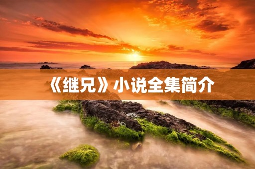 《继兄》小说全集简介 《继兄》小说全集简介
