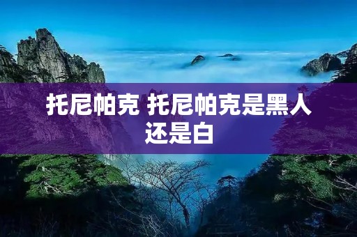 托尼帕克 托尼帕克是黑人还是白