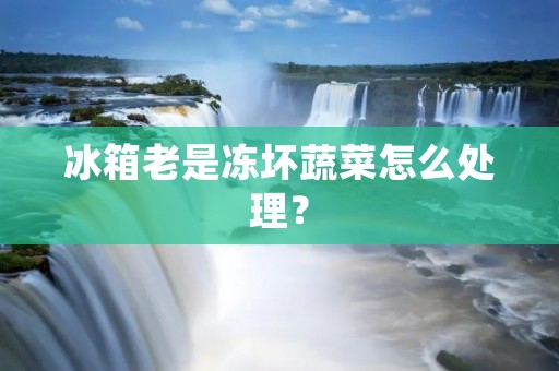 冰箱老是冻坏蔬菜怎么处理? 冰箱老是冻坏蔬菜怎么处理?