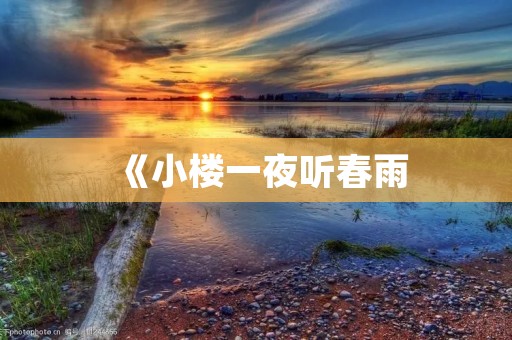 《小楼一夜听春雨:寻找内心的宁静与安宁》