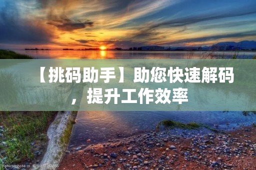 【挑码助手】助您快速解码,提升工作效率