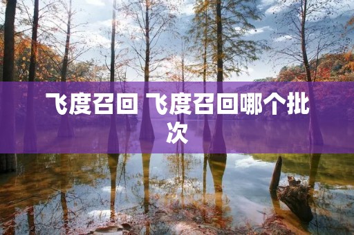 飞度召回 飞度召回哪个批次 飞度召回 飞度召回哪个批次