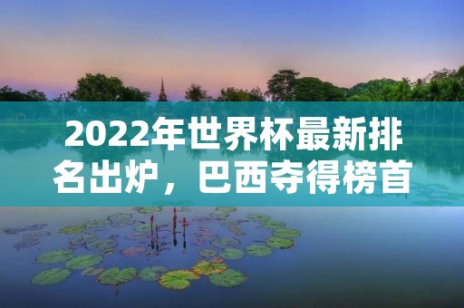 2022年世界杯最新排名出炉，巴西夺得榜首，中国队排名第六