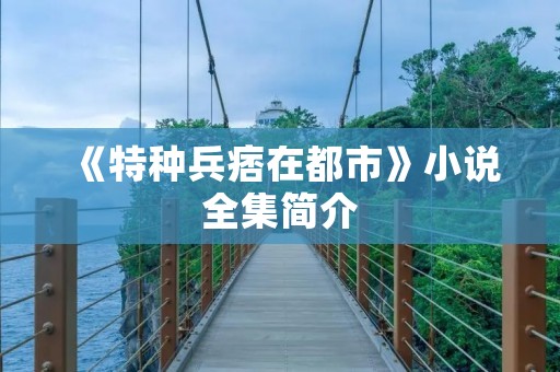 《特种兵痞在都市》小说全集简介 《特种兵痞在都市》小说全集简介