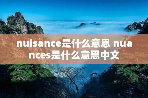 nuisance是什么意思 nuances是什么意思中文 nuisance是什么意思 nuances是什么意思中文