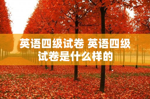 英语四级试卷 英语四级试卷是什么样的