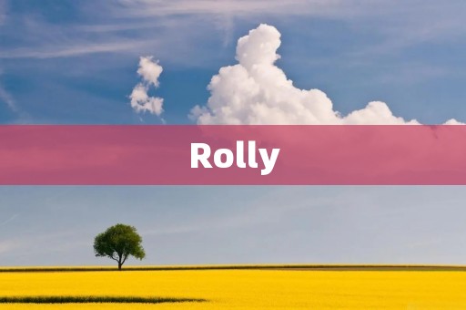 Rolly：让你的生活更加轻松愉快