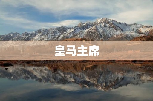 皇马主席:掌舵白色帝国的领航者 皇马主席:掌舵白色帝国的领航者