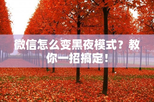 微信怎么变黑夜模式?教你一招搞定!