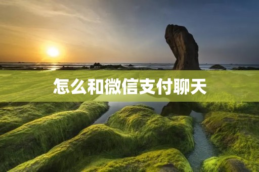 怎么和微信支付聊天:详细解读微信支付的功能和使用方法