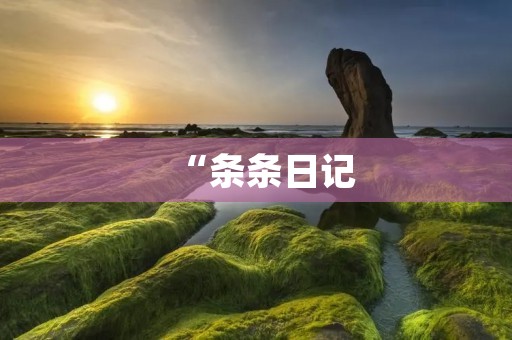 “条条日记:记录生活,分享心情,细数人生点滴”