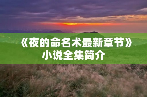 《夜的命名术最新章节》小说全集简介