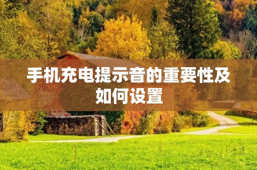 手机充电提示音的重要性及如何设置