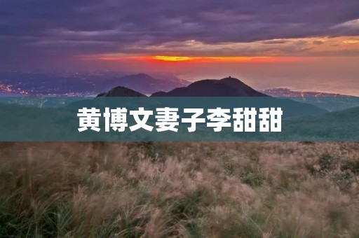 黄博文妻子李甜甜:一个充满智慧与魅力的女性 黄博文妻子李甜甜:一个充满智慧与魅力的女性