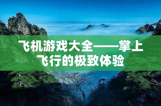 飞机游戏大全——掌上飞行的极致体验