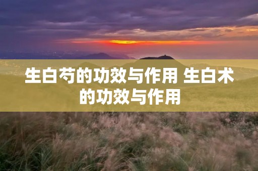生白芍的功效与作用 生白术的功效与作用