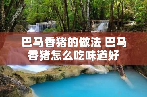 巴马香猪的做法 巴马香猪怎么吃味道好 巴马香猪的做法 巴马香猪怎么吃味道好