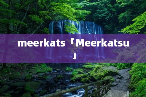 meerkats「Meerkatsu」