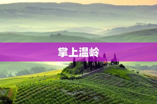 掌上温岭：畅享智慧城市生活