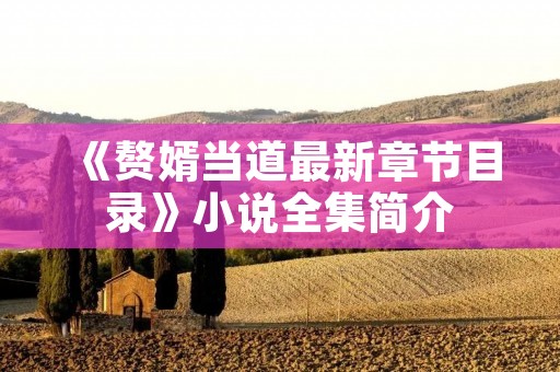 《赘婿当道最新章节目录》小说全集简介