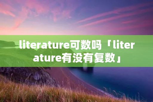 literature可数吗「literature有没有复数」