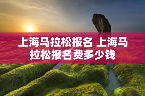 上海马拉松报名 上海马拉松报名费多少钱 上海马拉松报名 上海马拉松报名费多少钱