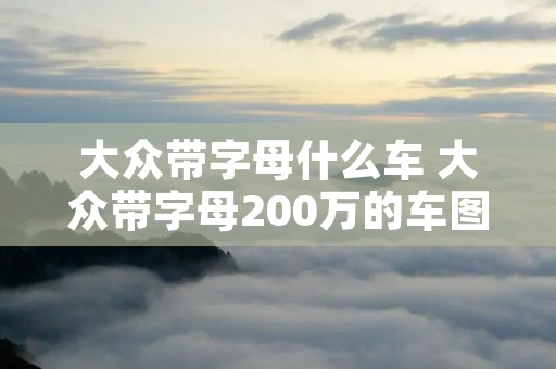 大众带字母什么车 大众带字母200万的车图片 大众带字母什么车 大众带字母200万的车图片