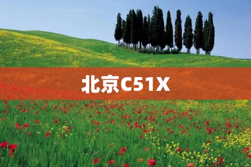 北京C51X:探索智能时代的新起点 北京C51X:探索智能时代的新起点