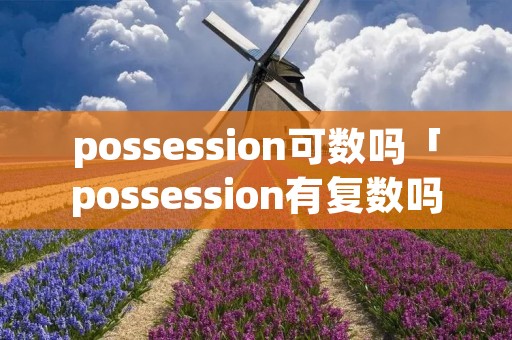 possession可数吗「possession有复数吗」
