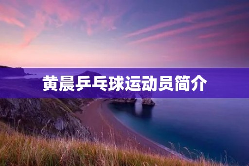 黄晨乒乓球运动员简介