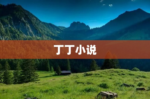 丁丁小说：探险与冒险的经典之旅