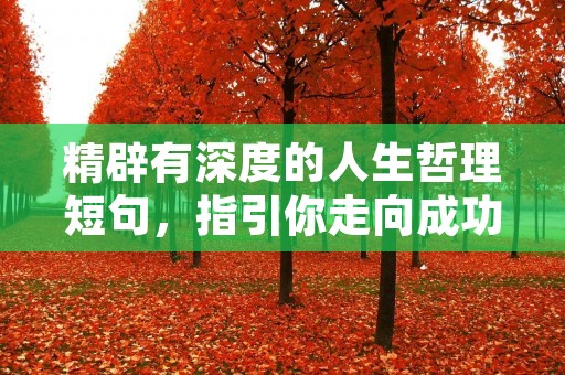 精辟有深度的人生哲理短句,指引你走向成功人生