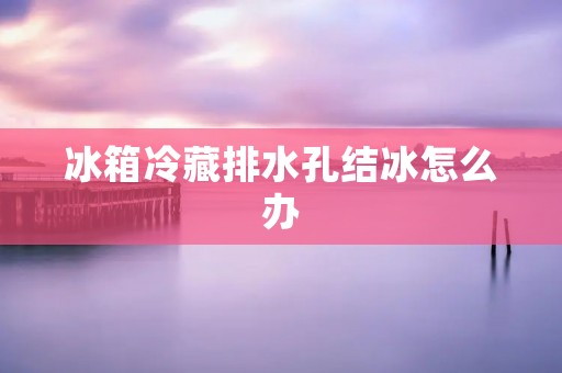 冰箱冷藏排水孔结冰怎么办 冰箱冷藏排水孔结冰怎么办
